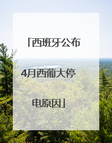 西班牙公布4月西葡大停电原因