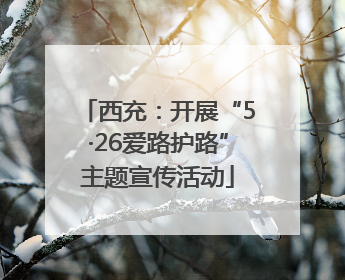 西充：开展“5·26爱路护路”主题宣传活动