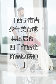 西宁市青少年美育成果展启幕 四千作品诠释高原精神