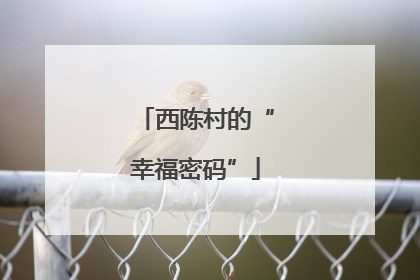 西陈村的“幸福密码”