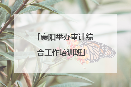 襄阳举办审计综合工作培训班