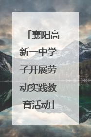 襄阳高新一中学子开展劳动实践教育活动