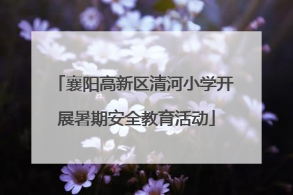 襄阳高新区清河小学开展暑期安全教育活动