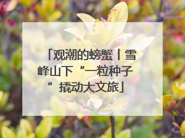 观潮的螃蟹丨雪峰山下“一粒种子”撬动大文旅