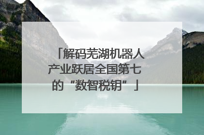 解码芜湖机器人产业跃居全国第七的“数智税钥”