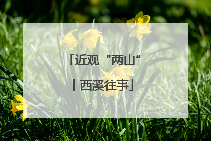 近观“两山”丨西溪往事