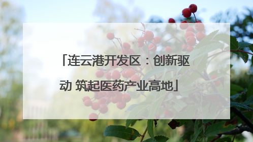 连云港开发区：创新驱动 筑起医药产业高地