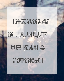连云港新海街道：人大代表下基层 探索社会治理新模式