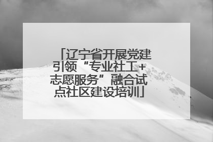 辽宁省开展党建引领“专业社工+志愿服务”融合试点社区建设培训