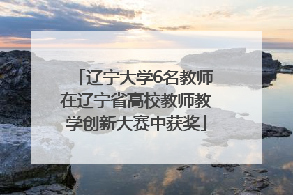 辽宁大学6名教师在辽宁省高校教师教学创新大赛中获奖