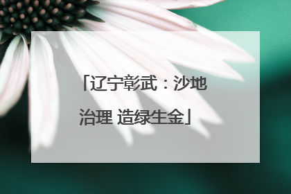 辽宁彰武：沙地治理 造绿生金