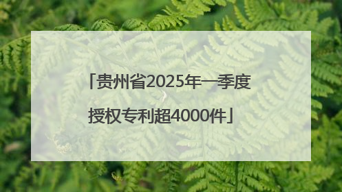 贵州省2025年一季度授权专利超4000件