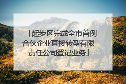 起步区完成全市首例合伙企业直接转型有限责任公司登记业务