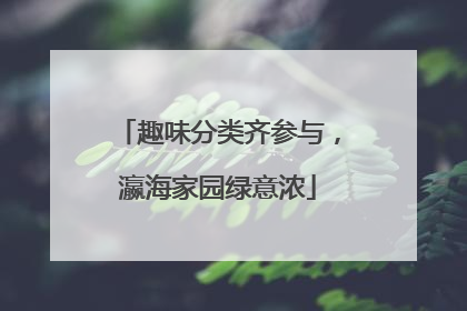 趣味分类齐参与，瀛海家园绿意浓