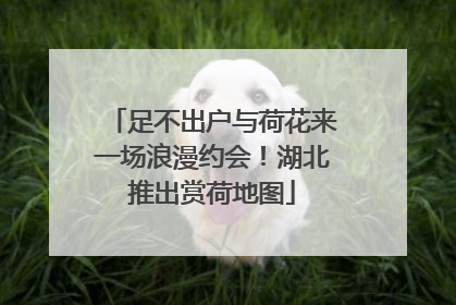 足不出户与荷花来一场浪漫约会！湖北推出赏荷地图