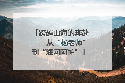 跨越山海的奔赴——从“杨老师”到“海河阿帕”