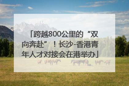 跨越800公里的“双向奔赴”！长沙-香港青年人才对接会在港举办