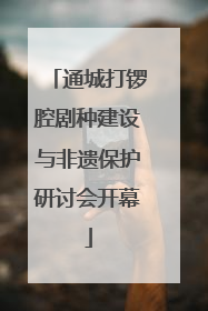 通城打锣腔剧种建设与非遗保护研讨会开幕