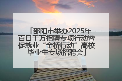 邵阳市举办2025年百日千万招聘专项行动暨促就业“金桥行动”高校毕业生专场招聘会