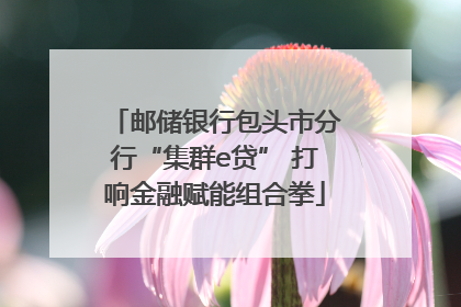 邮储银行包头市分行“集群e贷” 打响金融赋能组合拳