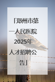 郑州市第一人民医院2025年人才招聘公告
