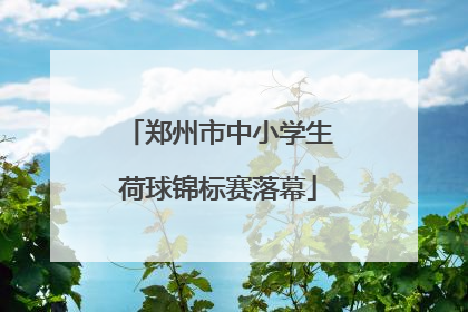 郑州市中小学生荷球锦标赛落幕