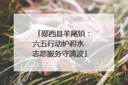 郧西县羊尾镇：六五行动护碧水 志愿服务守清波