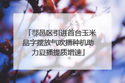鄠邑区引进首台玉米品字摆放气吹播种机助力夏播提质增速