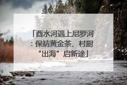 酉水河遇上尼罗河：保靖黄金茶、村厨“出海”启新途