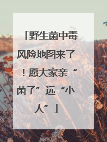 野生菌中毒风险地图来了！愿大家亲“菌子”远“小人”