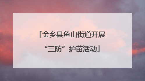 金乡县鱼山街道开展“三防”护苗活动