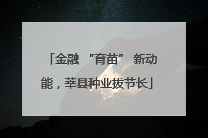 金融 “育苗” 新动能，莘县种业拔节长