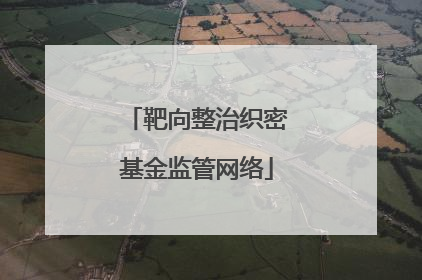 靶向整治织密基金监管网络