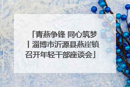 青燕争锋 同心筑梦丨淄博市沂源县燕崖镇召开年轻干部座谈会