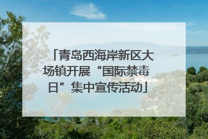 青岛西海岸新区大场镇开展“国际禁毒日”集中宣传活动
