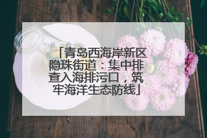 青岛西海岸新区隐珠街道：集中排查入海排污口，筑牢海洋生态防线