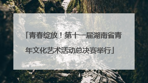 青春绽放！第十一届湖南省青年文化艺术活动总决赛举行