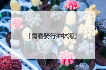 青春骑行护林海