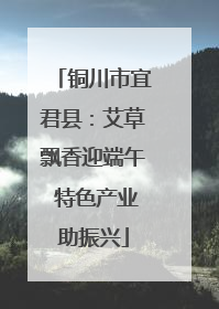 铜川市宜君县：艾草飘香迎端午 特色产业助振兴