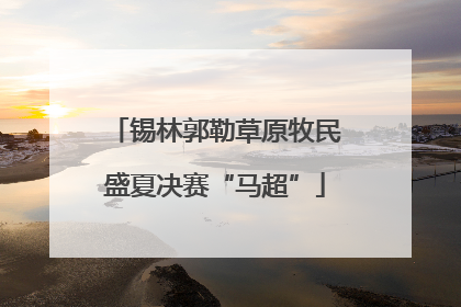 锡林郭勒草原牧民盛夏决赛“马超”