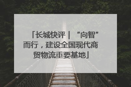 长城快评｜“向智”而行，建设全国现代商贸物流重要基地
