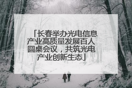 长春举办光电信息产业高质量发展百人圆桌会议，共筑光电产业创新生态