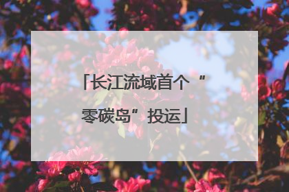 长江流域首个“零碳岛”投运