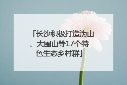 长沙积极打造沩山、大围山等17个特色生态乡村群