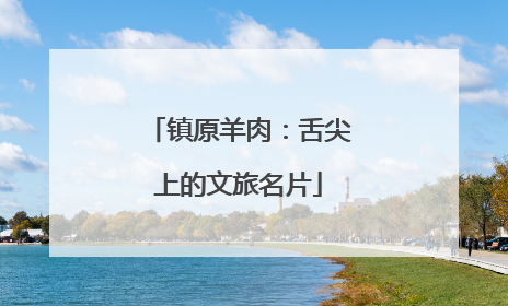 镇原羊肉：舌尖上的文旅名片