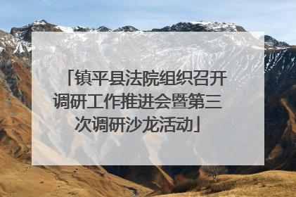 镇平县法院组织召开调研工作推进会暨第三次调研沙龙活动
