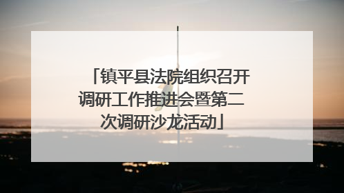镇平县法院组织召开调研工作推进会暨第二次调研沙龙活动
