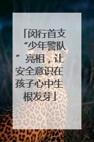 闵行首支“少年警队”亮相，让安全意识在孩子心中生根发芽