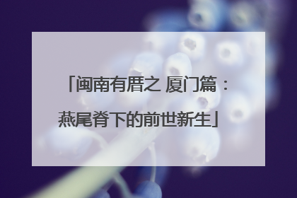 闽南有厝之 厦门篇：燕尾脊下的前世新生