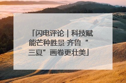 闪电评论｜科技赋能芒种胜景 齐鲁“三夏”画卷更壮美